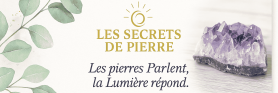Les secrets de Pierre