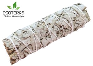 Fagot de Sauge Blanche de Californie – Purification et Protection