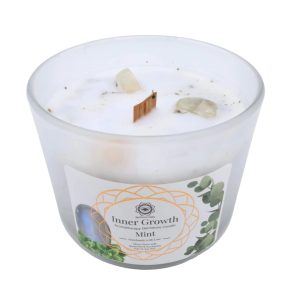 Bougie parfumée menthe avec pierre de lune – Croissance Intérieure 256g